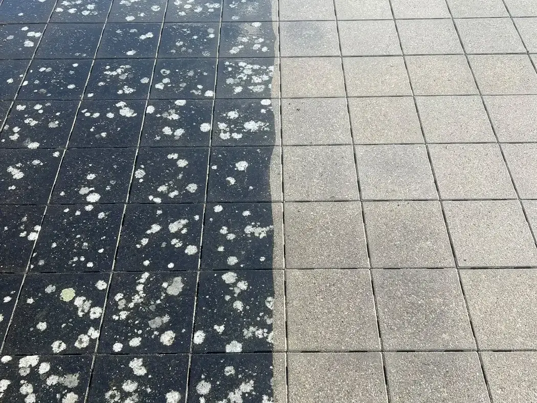 Half gereinigde terrastegels: links zwarte aanslag, rechts schoon