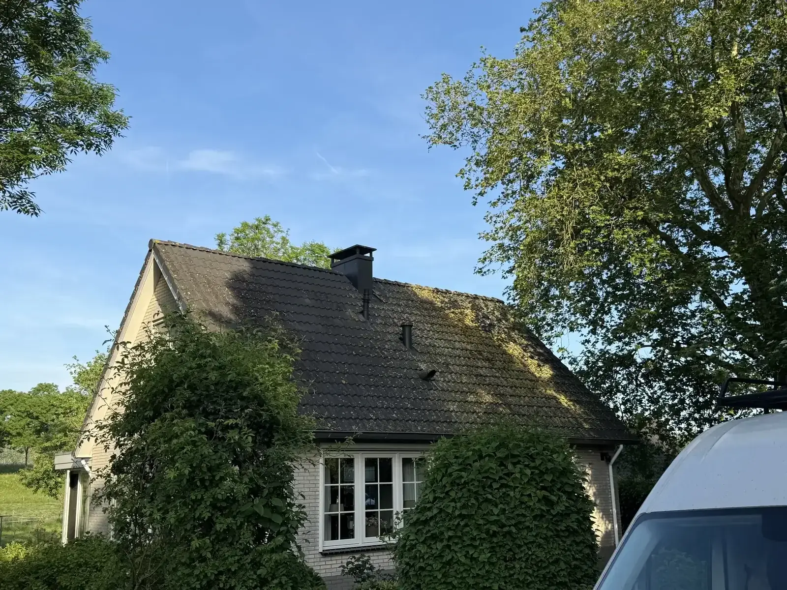Dak met mos- en algenaanslag