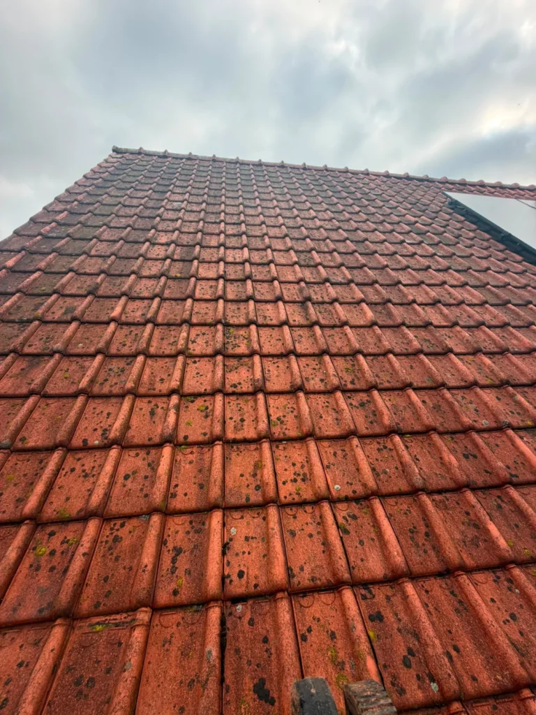 Rood pannendak met zwarte mosaanslag voor dakreiniging