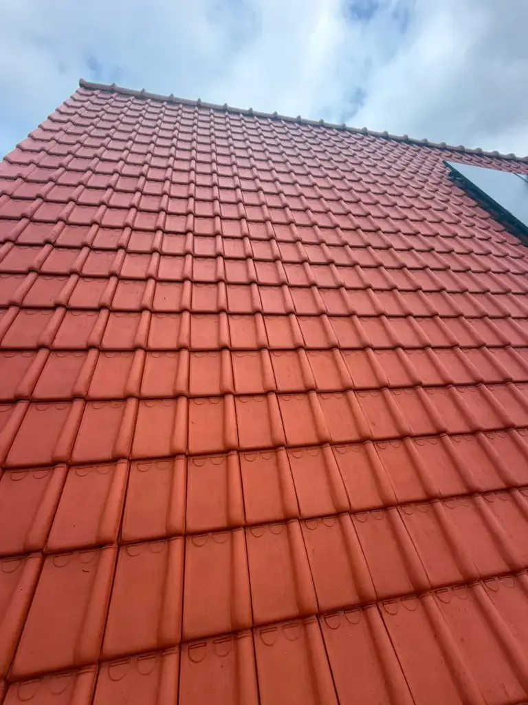 Hetzelfde pannendak schoon na dakreiniging