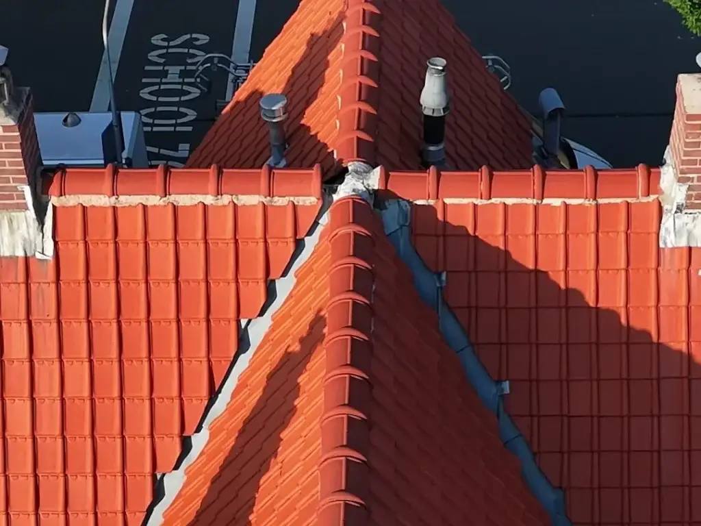 Fris rood pannendak na de dakreiniging in Haarlem