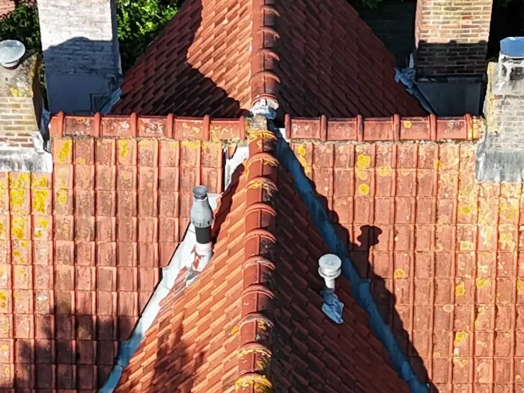Verweerd rood pannendak met korstmos voor de dakreiniging in Haarlem